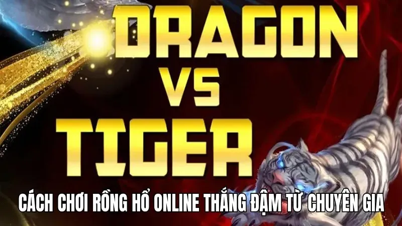 3 cách chơi rồng hổ online giúp bet thủ hốt bạc từ WIN777 3 Cách chơi rồng hổ online thắng đậm từ chuyên gia