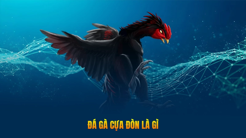 Đá gà cựa đòn – Hình thức cá cược kịch tính được yêu thích 1 Đá gà cựa đòn là gì?