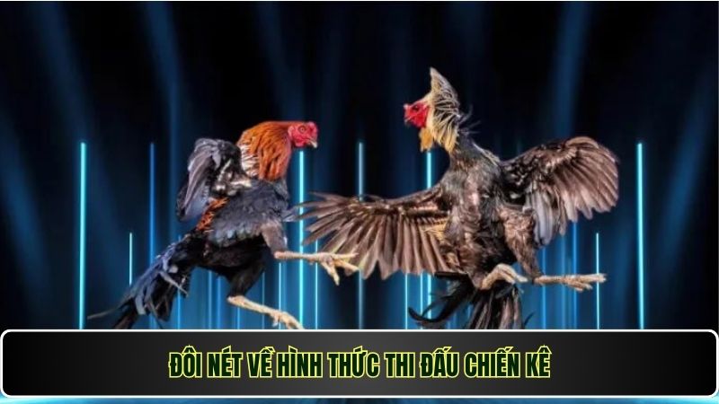 Đá Gà Cựa Dao Win777 – Sân Chơi Uy Tín Cho Anh Em Kê Thủ 1 Đôi nét về hình thức thi đấu chiến kê