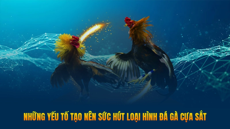 Đá gà cựa sắt - Hình thức chọi kê gay cấn, uy tín 2 Những yếu tố tạo nên sức hút loại hình đá gà cựa sắt