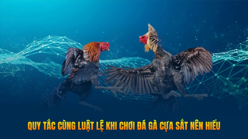 Đá gà cựa sắt - Hình thức chọi kê gay cấn, uy tín 3 Quy tắc cùng luật lệ khi chơi đá gà cựa sắt nên hiểu