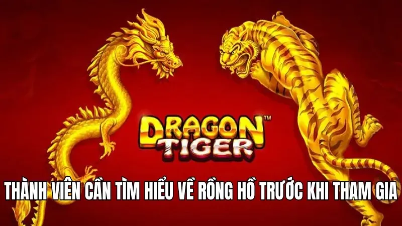 3 cách chơi rồng hổ online giúp bet thủ hốt bạc từ WIN777 1 Thành viên cần tìm hiểu về rồng hồ trước khi tham gia
