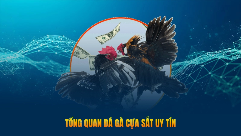 Đá gà cựa sắt - Hình thức chọi kê gay cấn, uy tín 1 Tổng quan đá gà cựa sắt uy tín